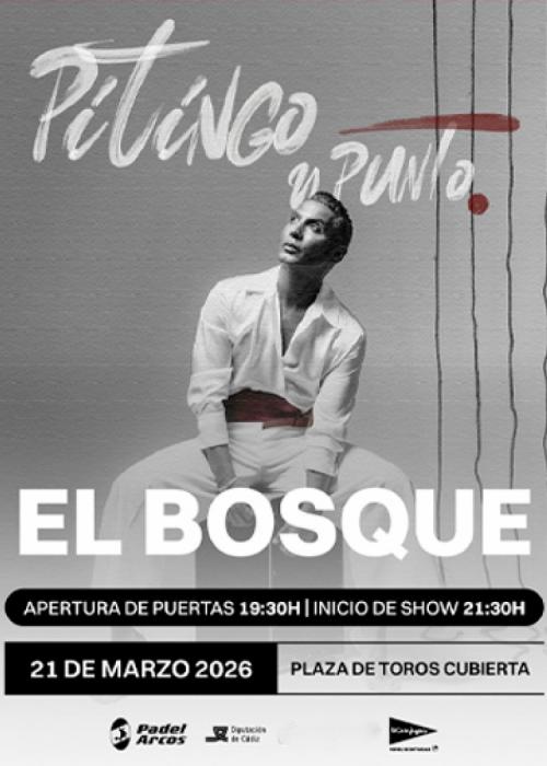Cartel de Concierto de Pitingo en Cádiz