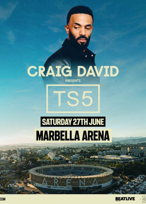 Cartel de Concierto de Craig David en Marbella