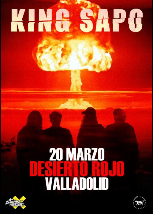 Cartel de Concierto de King Sapo en Valladolid