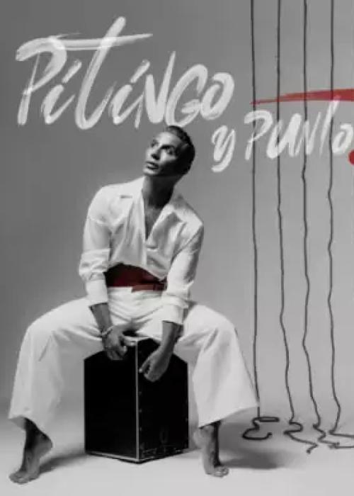 Cartel de Concierto de Pitingo en Sevilla