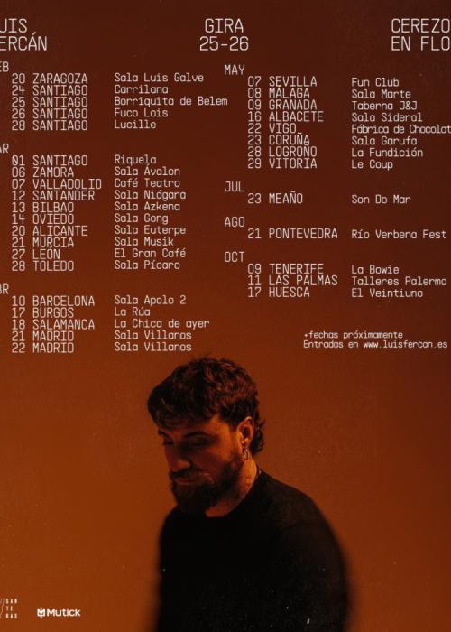 Cartel de Concierto de Luis Fercán en Granada