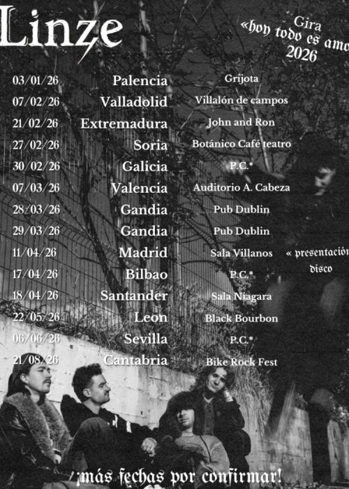 Cartel de Concierto de Linze en Madrid