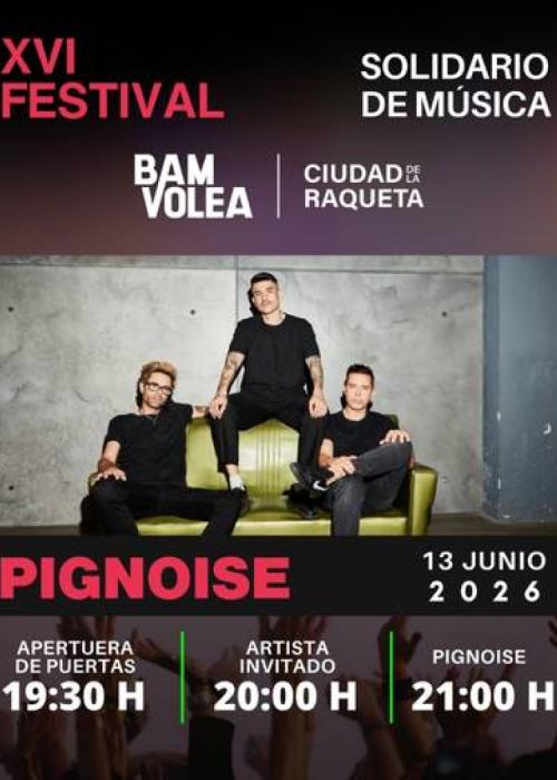 Cartel de Concierto de Pignoise en Madrid