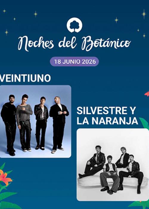 Cartel de Concierto de Veintiuno + Silvestre y la Naranja en Madrid