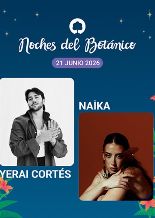 Cartel de Concierto de Yerai Cortés en Madrid