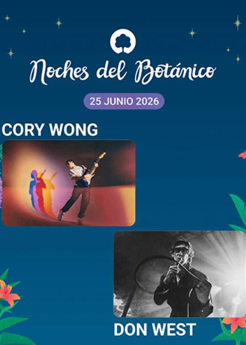 Cartel de Concierto de Cory Wong + Don West en Madrid