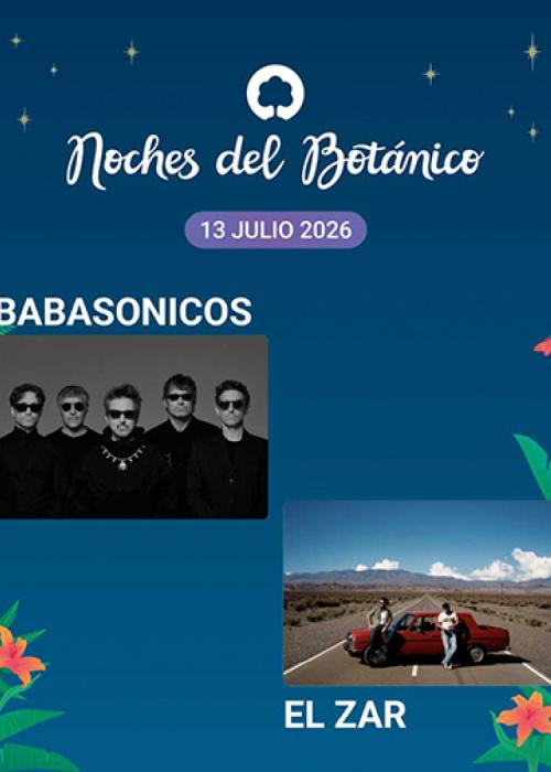 Cartel de Concierto de Babasonicos + El Zar en Madrid