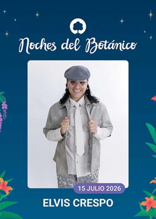 Cartel de Concierto de Elvis Crespo en Madrid