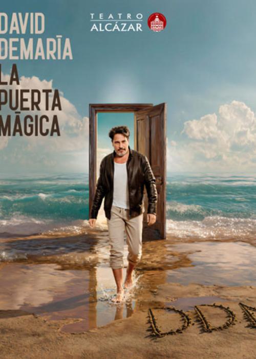 Cartel de Concierto de David DeMaría en Madrid