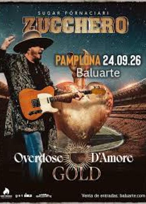 Cartel de Concierto de Zucchero en Pamplona