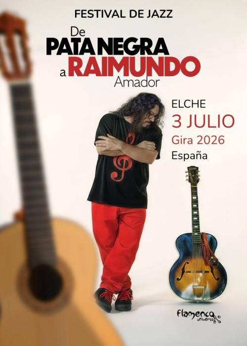 Cartel de Concierto de Raimundo Amador en Elche