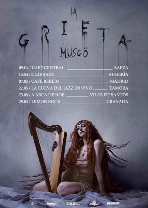 Cartel de Concierto de Musgö en Zamora