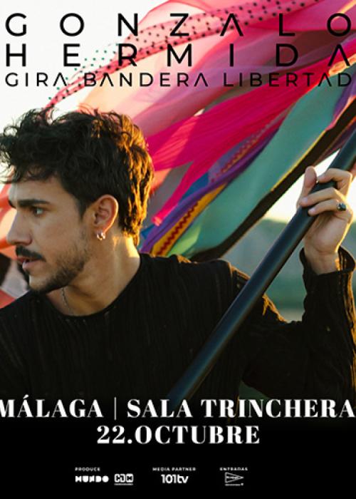 Cartel de Concierto de Gonzalo Hermida en Málaga