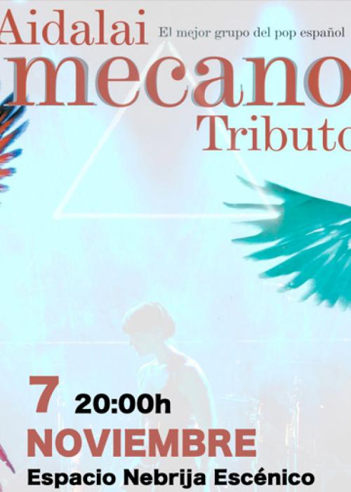 Cartel de Concierto de Aidalai Tributo a Mecano en Murcia