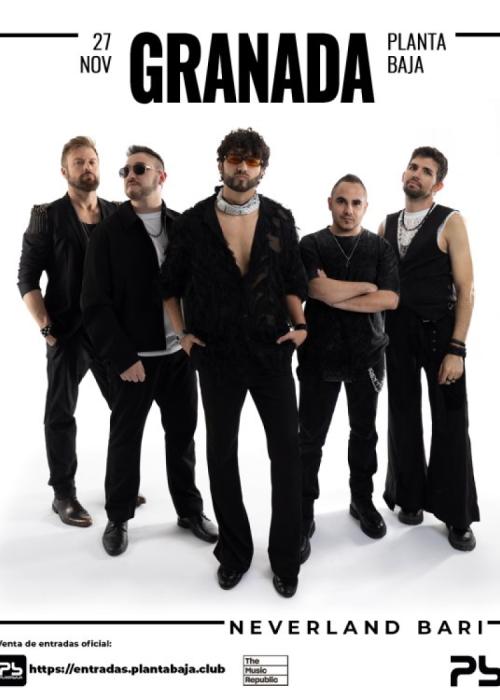 Cartel de Concierto de Neverland Bari en Granada