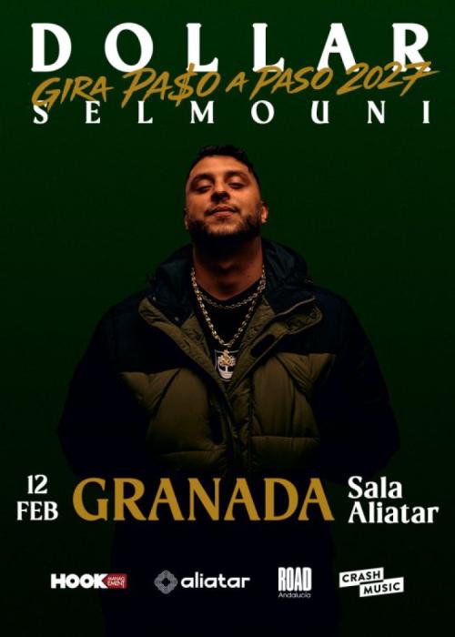 Cartel de Concierto de Dollar Selmouni en Granada