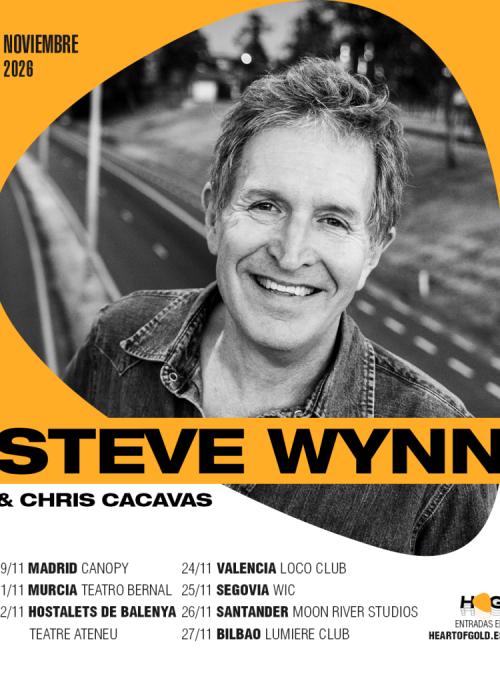 Cartel de Concierto de Steve Wynn en Valencia