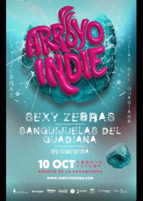 Cartel de Concierto de Sexy Zebras + Sanguijuelas del Guadiana en Valladolid