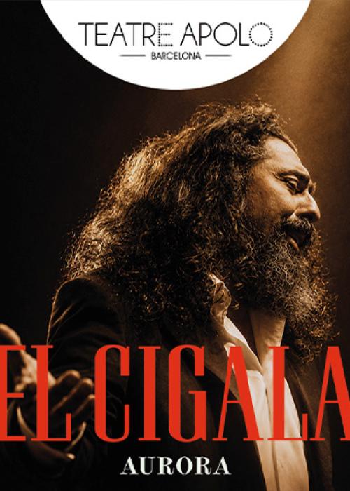 Diego el Cigala
