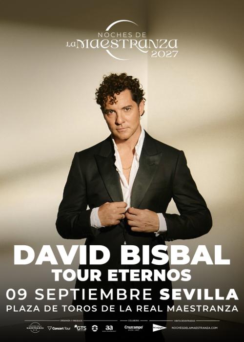 Cartel de Concierto de David Bisbal en Sevilla