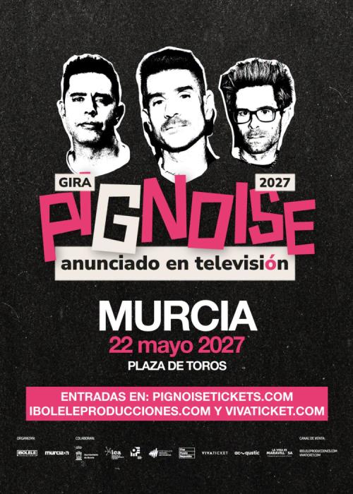 Cartel de Concierto de Pignoise en Murcia