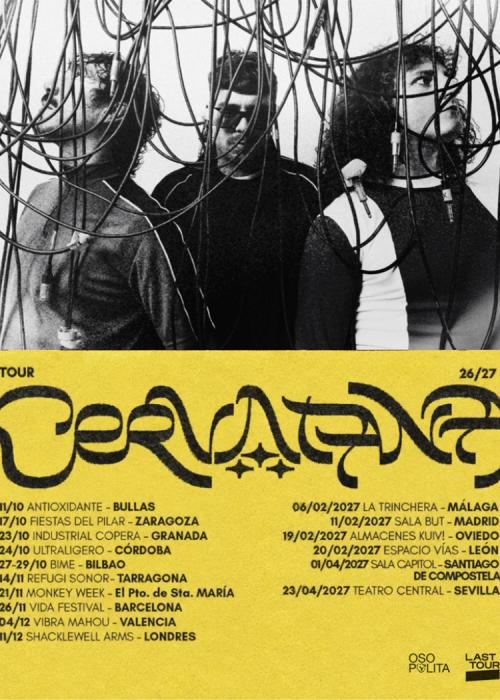Cartel de Concierto de Cervatana en León