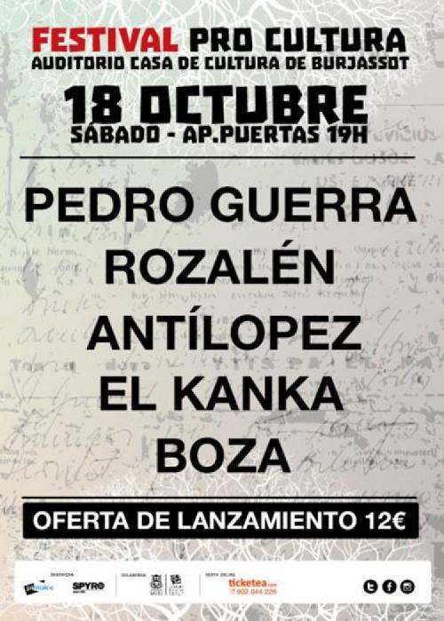Cartel de Festival Procultura 2014 en Burjassot (Valencia)