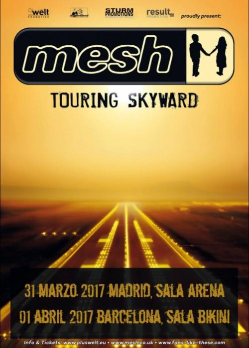 Mesh