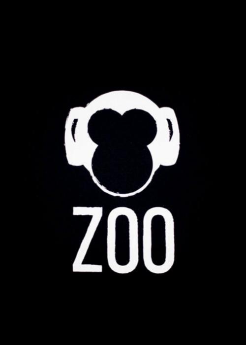 Concierto de Zoo en Salt