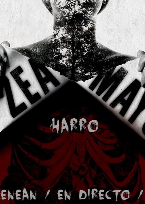 Concierto de Zea Mays en Vitoria-Gasteiz