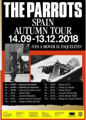 Concierto de The Parrots en Málaga