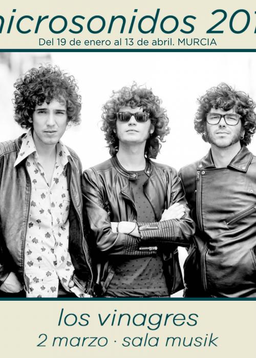 Concierto de Los Vinagres + Naponia en Murcia