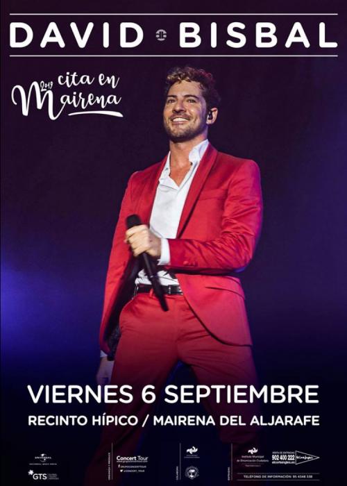Concierto de David Bisbal en Mairena del Aljarafe