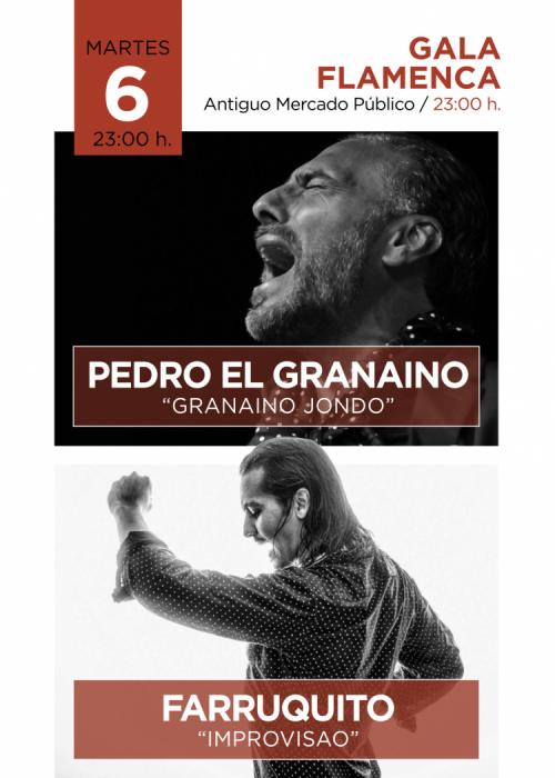 Concierto de Pedro El Granaino + Farruquito en La Unión