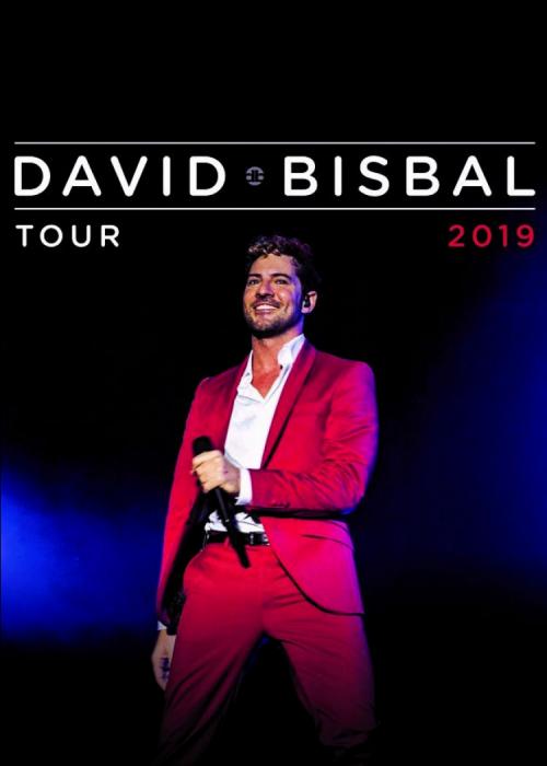 Concierto de David Bisbal en Vigo