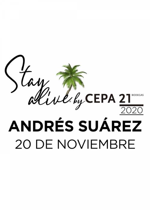 Concierto de Andrés Suárez en Castrillo de Duero