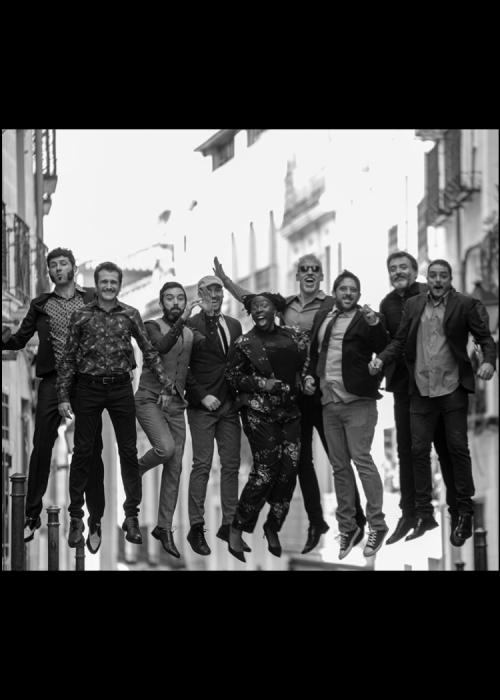 Concierto de Freedonia en Madrid