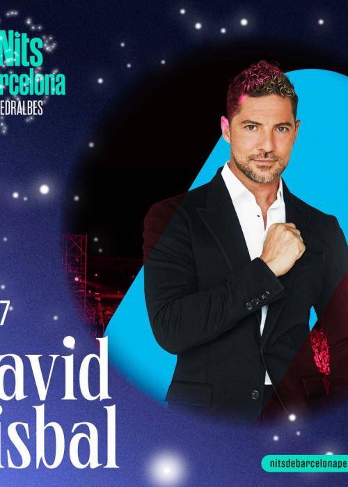Concierto de David Bisbal en Barcelona