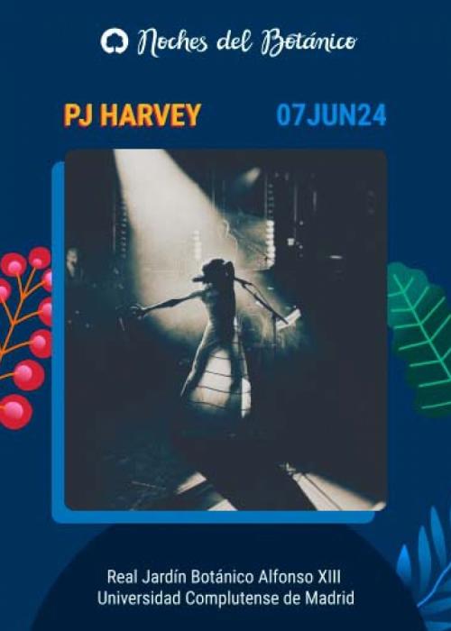 Concierto de PJ Harvey en Madrid