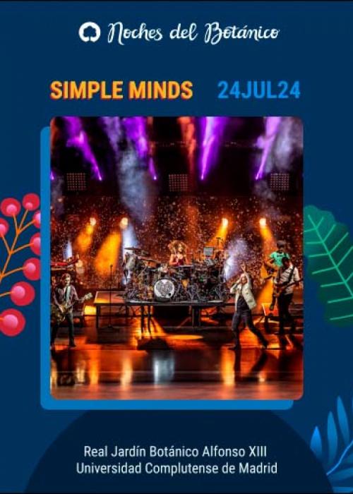 Concierto de Simple Minds en Madrid
