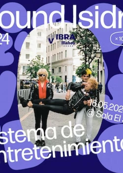 Concierto de Sistema de Entretenimiento en Madrid