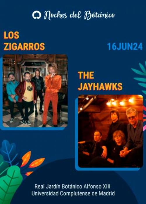 Concierto de Los Zigarros + The Jayhawks en Madrid