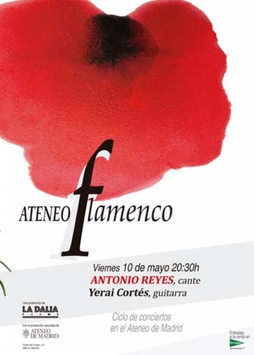 Concierto de Antonio Reyes en Madrid