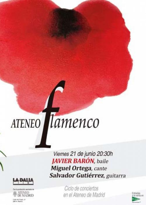 Concierto de Javier Barón en Madrid