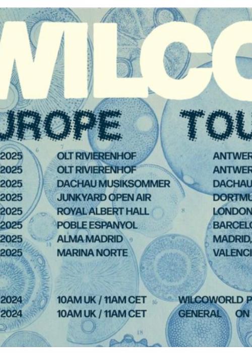 Concierto de Wilco en Madrid