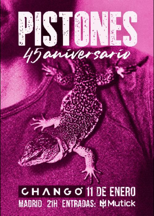 Pistones