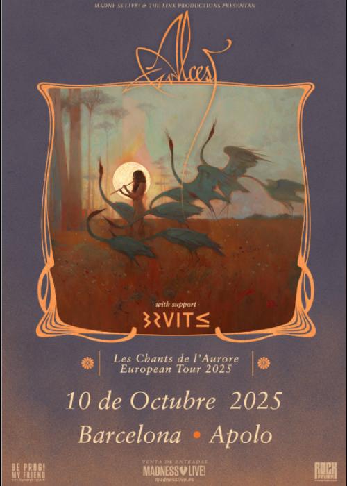 Bruit