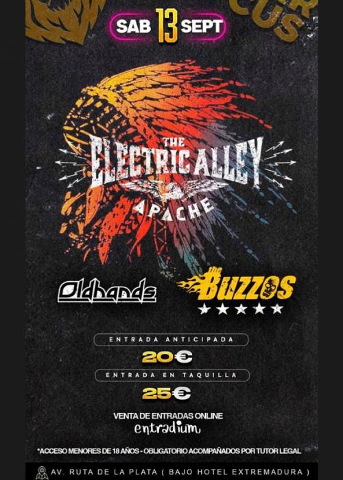 The Electric Alley