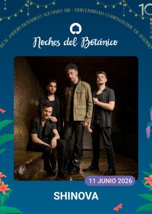 Concierto de Shinova en Madrid