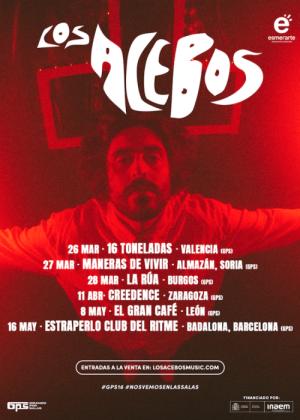 Concierto de Los Acebos en León